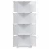 Pilaster Designs Burnham White Wood Corner Kitchen Pantry Storage Cabinet With 4 Interior Shelves -Coast2Coast shop 1ee12c0d0fb2b03f 5608 w800 h800 b1 p0